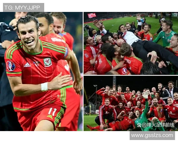 波黑足球明星盘点及其在国际赛场上的精彩表现与成就