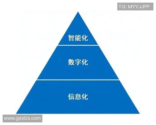 成都羽毛球队转型之路的挑战与机遇全景解析
